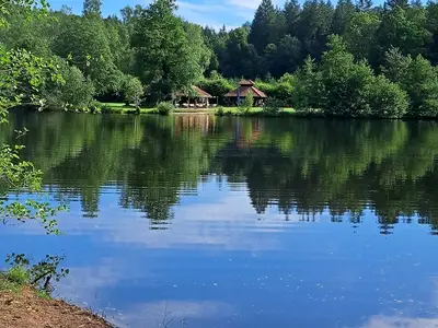 Ferienwohnung für 3 Personen (56 m²) in Ludwigswinkel 1/10