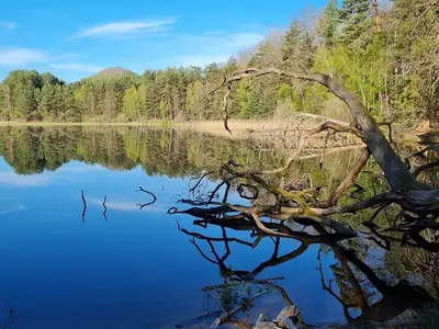 Ferienwohnung für 3 Personen (56 m²) in Ludwigswinkel 2/10
