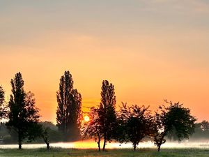 24027314-Ferienwohnung-2-Lübbenau/Spreewald-300x225-0