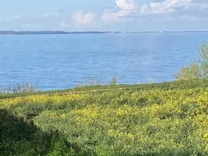 Ferienwohnung für 4 Personen (50 m²) in Lübeck