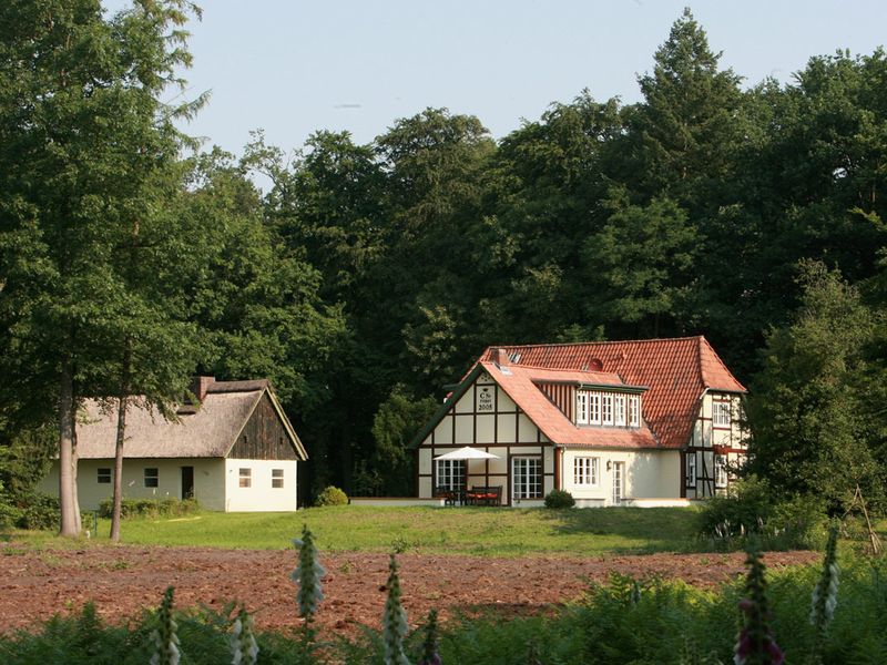 23083045-Ferienwohnung-2-Lüdersburg-800x600-1