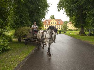 18678587-Ferienwohnung-4-Lühburg-300x225-1