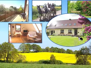 Ferienwohnung für 3 Personen (40 m²) in Lützow