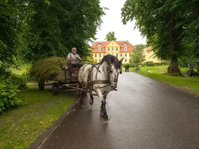 Ferienwohnung für 5 Personen (74 m²) in Lühburg 2/10