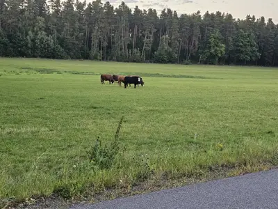 Ländlich