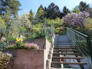 23855166-Ferienwohnung-6-Luino-300x225-2