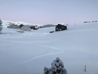 Ferienwohnung Signina Brun - Aussicht Winter