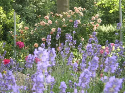 Ferienwohnung für 2 Personen (65 m²) in Lüneburg 10/10