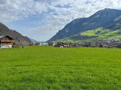 Aussicht vom Haus zum See