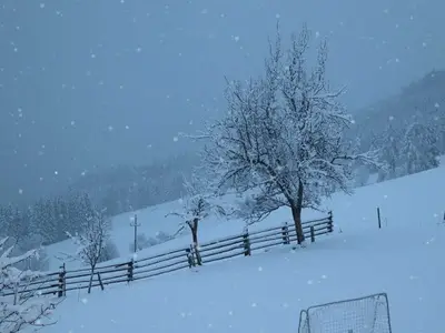 Ferienwohnung für 4 Personen (35 m²) in Annaberg-Lungötz 4/10