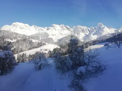 Ferienwohnung für 4 Personen (35 m²) in Annaberg-Lungötz 5/10