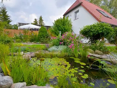 Ferienwohnung für 3 Personen (36 m²) in Lüssow 2/10