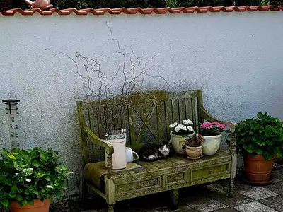 Ferienwohnung für 2 Personen (50 m²) in Lutherstadt Wittenberg 2/10