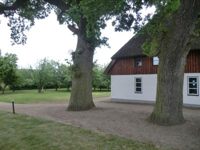 Ferienwohnung für 4 Personen (70 m²) in Lütow 6/10