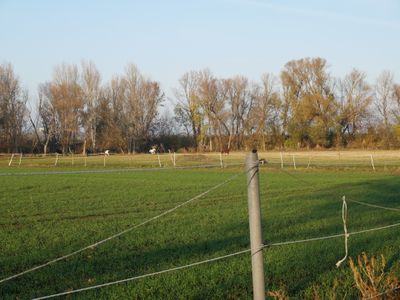 Ferienwohnung für 4 Personen (65 m²) in Lützen 5/10