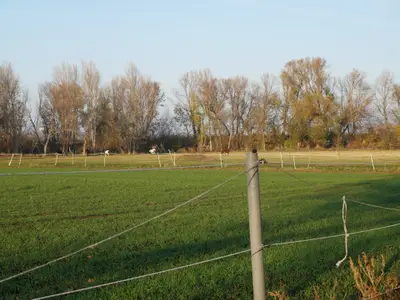Ferienwohnung für 4 Personen (65 m²) in Lützen 5/10