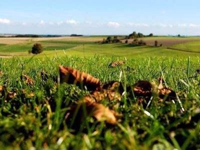 Aussicht vom Garten aus im Herbst