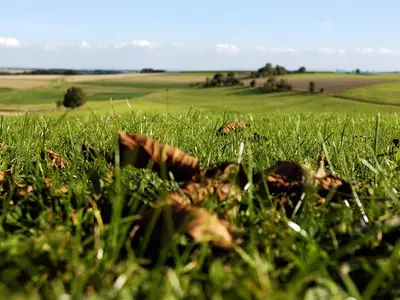 Aussicht im Herbst