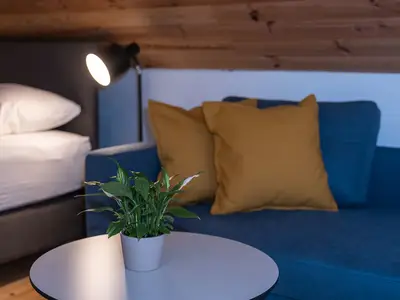 Ferienwohnung für 3 Personen (40 m²) in Lutzmannsburg 3/10