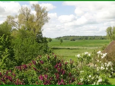 Ferienwohnung für 3 Personen (40 m²) in Lützow 7/10