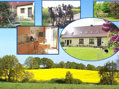 Ferienwohnung für 2 Personen (28 m²) in Lützow 1/10