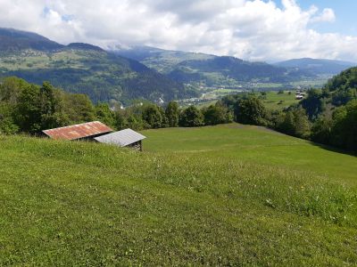 Ferienwohnung Nisals - Aussicht Sommer