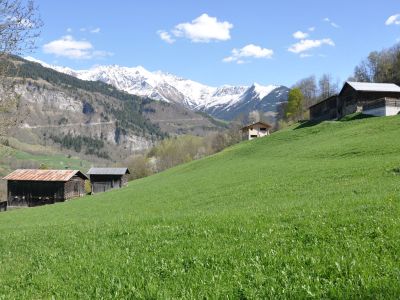 Ferienwohnung Nisals - Aussicht Sommer