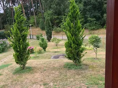 Ferienwohnung für 3 Personen (60 m²) in Lychen 5/10