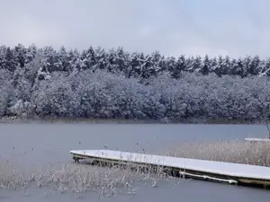 Ferienwohnung für 6 Personen (70 m²) in Lychen