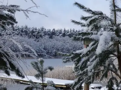 Ferienwohnung für 5 Personen (60 m²) in Lychen 2/10