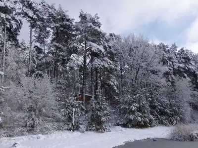 Ferienwohnung für 5 Personen (60 m²) in Lychen 3/10