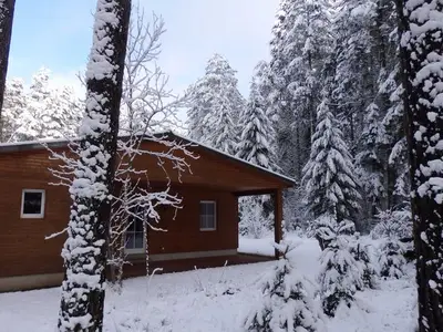 Ferienwohnung für 5 Personen (60 m²) in Lychen 8/10