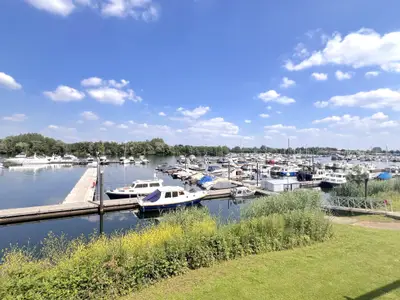 Aussicht vom Ferienhaus [Sommer]