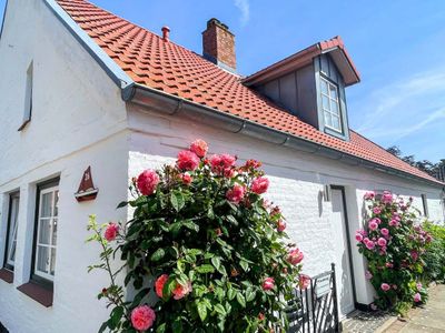 Ferienwohnung für 2 Personen (26 m²) in Maasholm 2/10