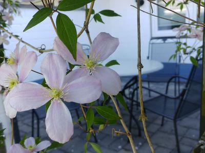 Ferienwohnung für 2 Personen (42 m²) in Maasholm 9/10