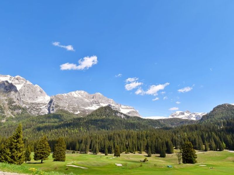 22639015-Ferienwohnung-6-Madonna Di Campiglio-800x600-1