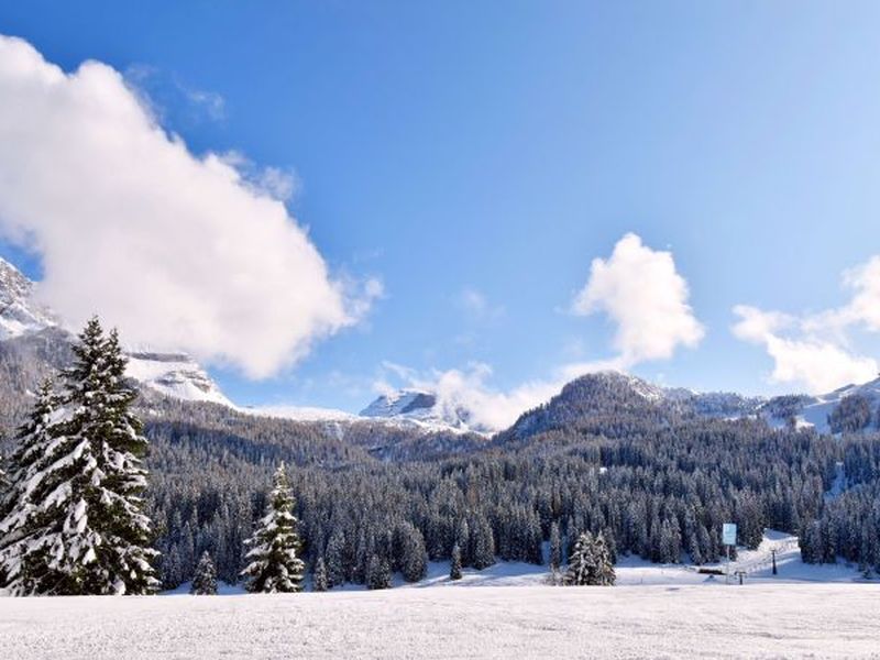 23426669-Ferienwohnung-2-Madonna Di Campiglio-800x600-1