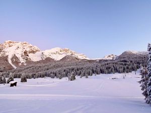 Ferienwohnung für 2 Personen (28 m&sup2;) in Madonna Di Campiglio