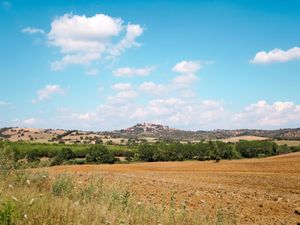 23850360-Ferienwohnung-6-Magliano In Toscana-300x225-2