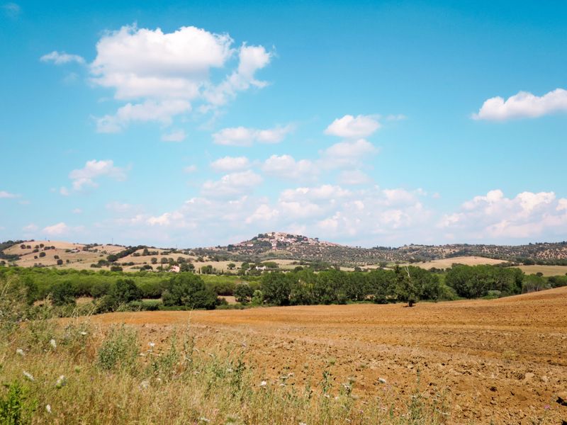 23850360-Ferienwohnung-6-Magliano In Toscana-800x600-2