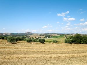 23850360-Ferienwohnung-6-Magliano In Toscana-300x225-5