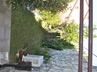 ExteriorSummer