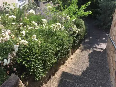 Ferienwohnung für 4 Personen (38 m²) in Mahlberg 8/10
