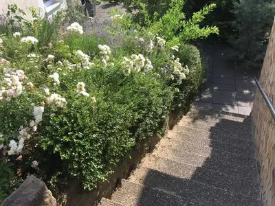 Ferienwohnung für 5 Personen (55 m²) in Mahlberg 9/10