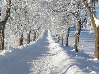 Winterlandschaft Mähring