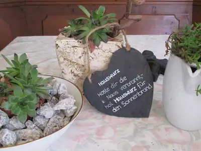 Ferienwohnung, Terrasse