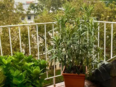 Ferienwohnung für 3 Personen (84 m²) in Mainz 3/10