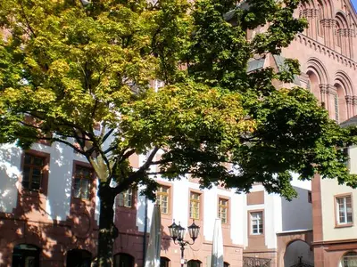 Ferienwohnung für 3 Personen (84 m²) in Mainz 4/10