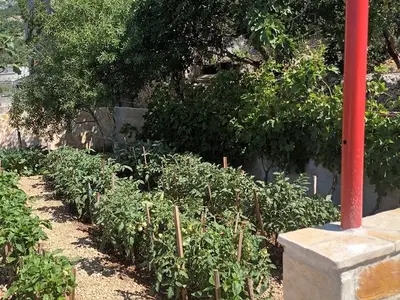 Ferienwohnung für 4 Personen in Makarska 7/10