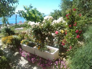 23838975-Ferienwohnung-4-Makarska-300x225-5